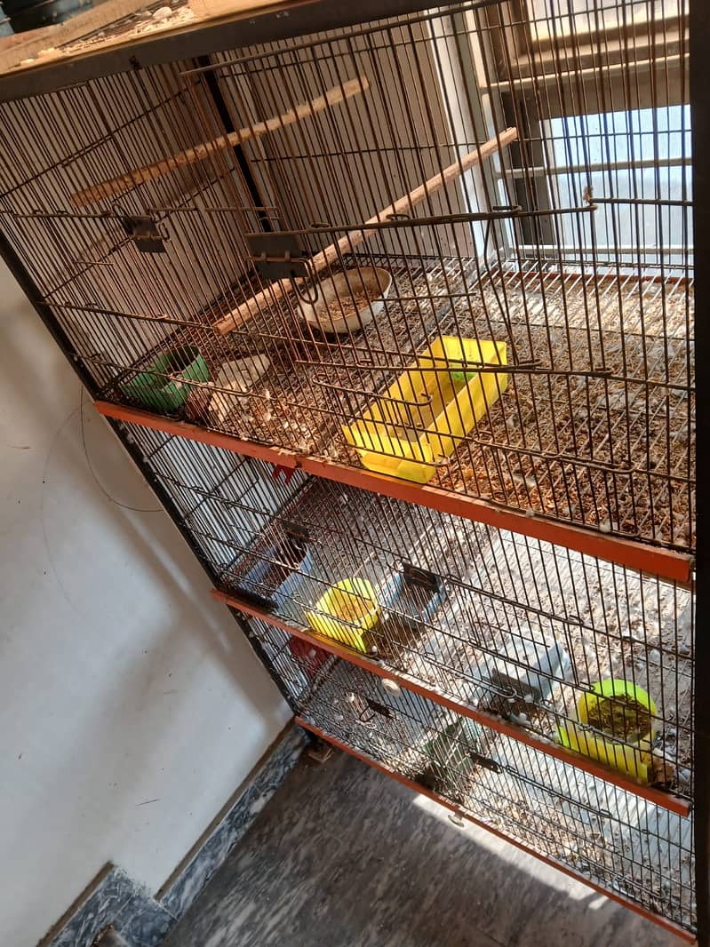 Large Multi-Level Cage / Parrot Aviary 1