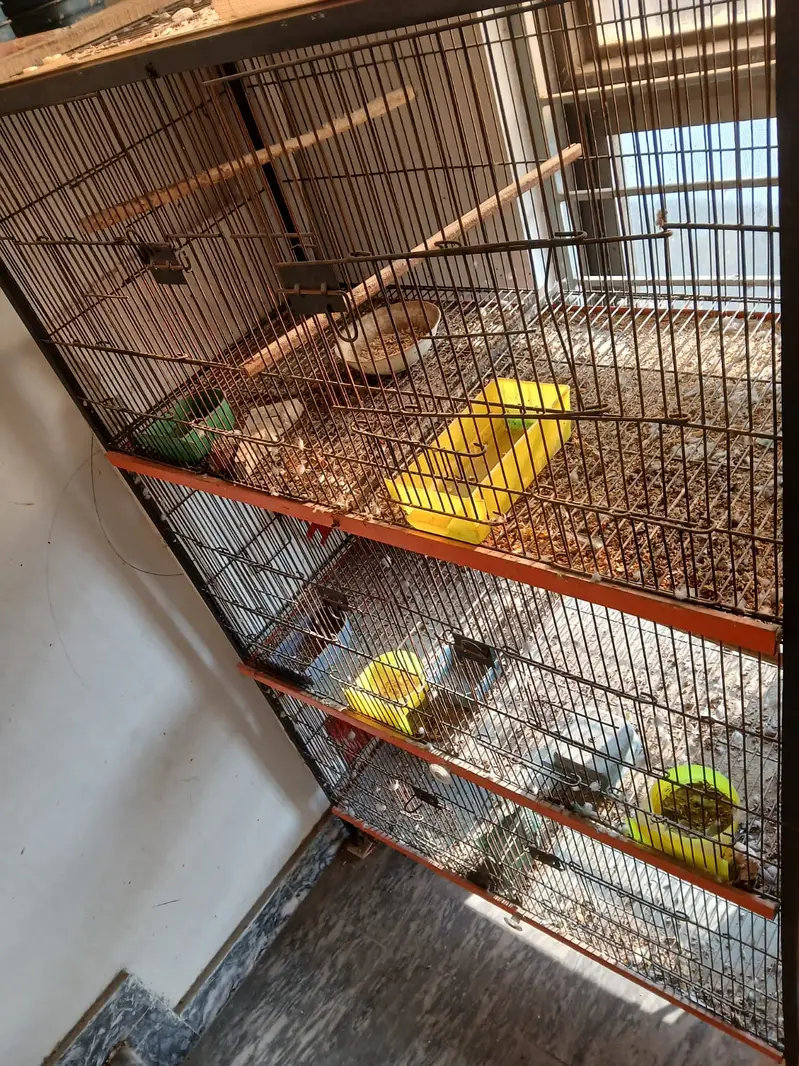 Large Multi-Level Cage / Parrot Aviary — photo 2