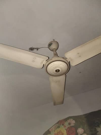 roof fan