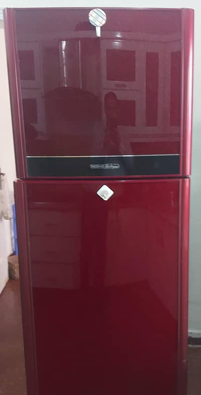 Oriet 18 Cubic Feet Fridge Glass door