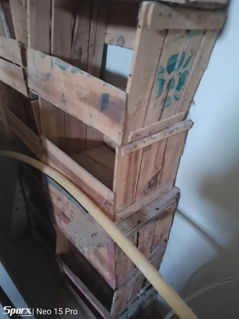 Hen eggs laying wooden box RS. 15 — photo 3