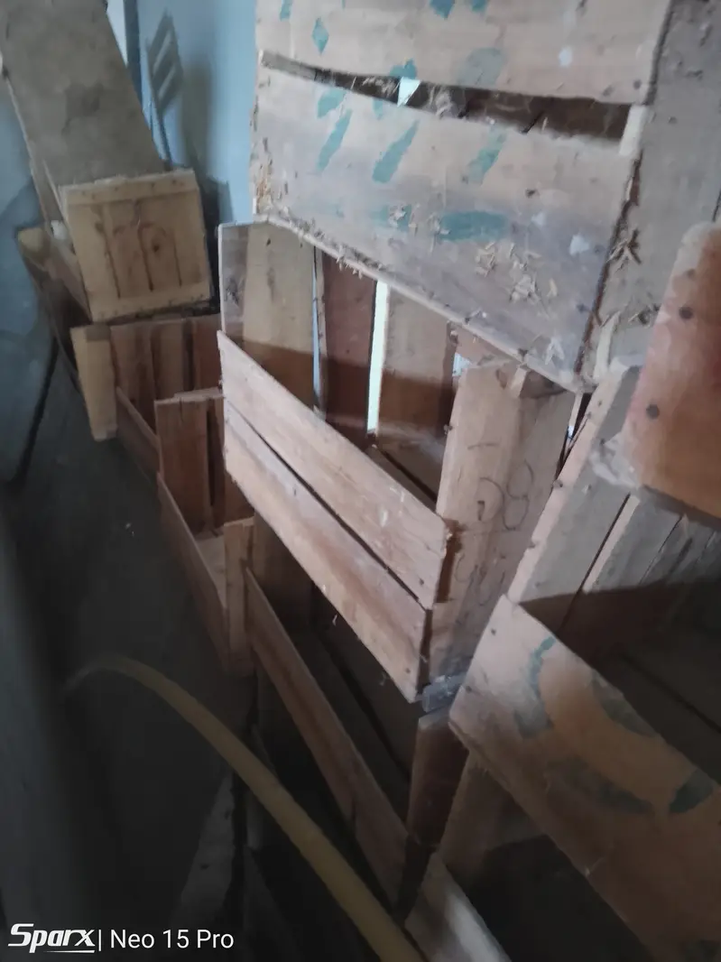Hen eggs laying wooden box RS. 15 — photo 4