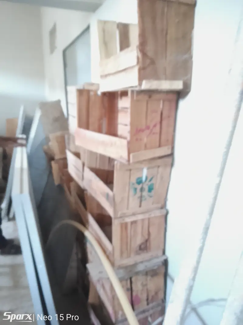 Hen eggs laying wooden box RS. 15 — photo 5