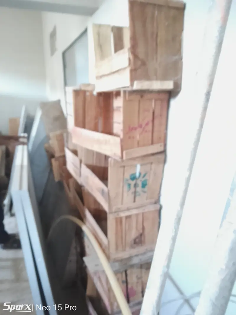 Hen eggs laying wooden box RS. 15 — photo 6