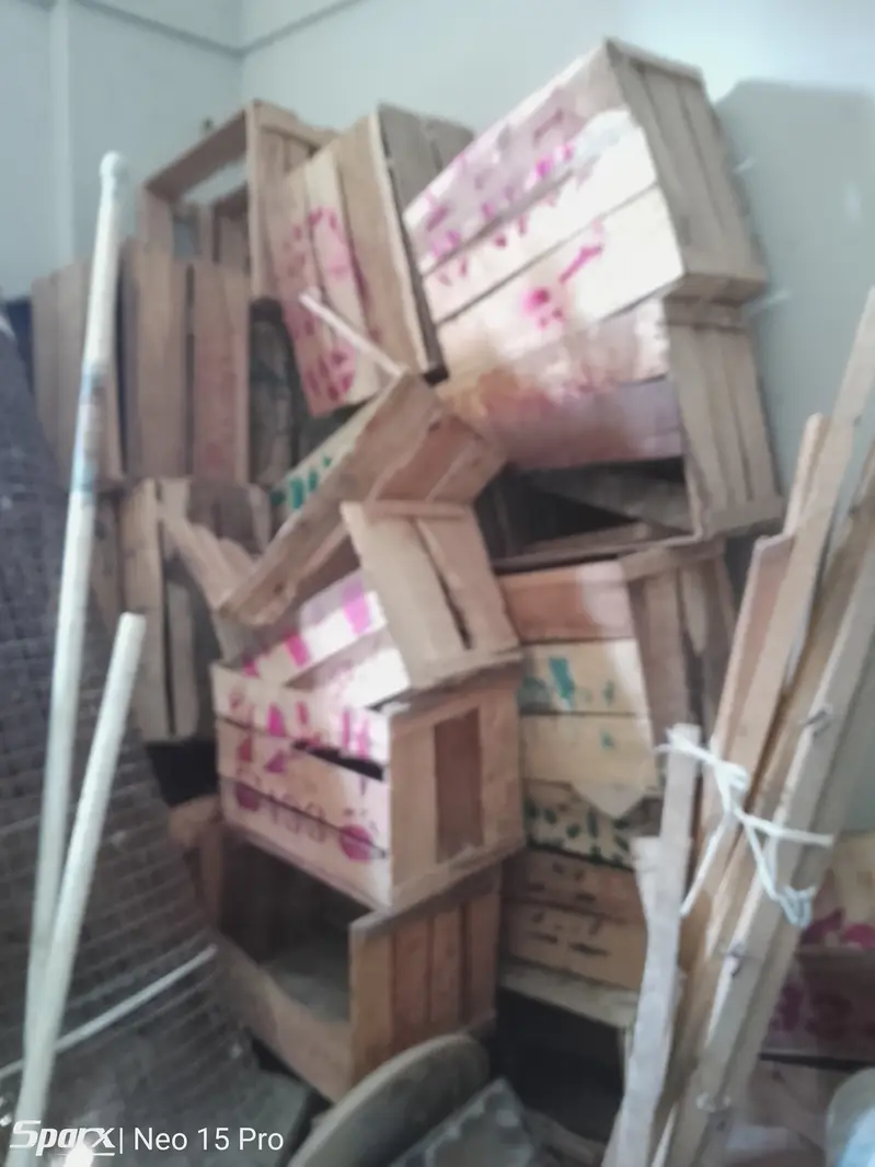 Hen eggs laying wooden box RS. 15 — photo 7