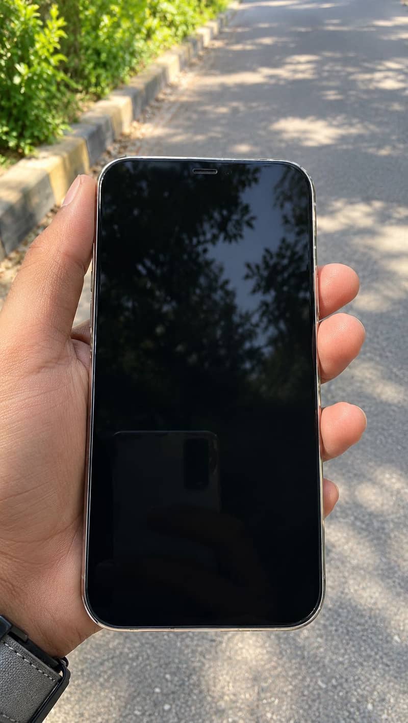 Apple iPhone 12 Pro Max 3