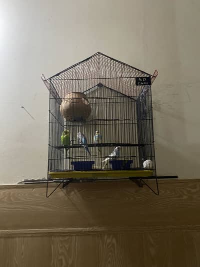 4 type of cage available anyone interested contact me 03091444694
