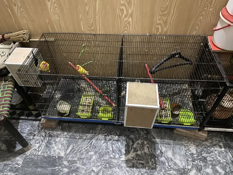 4 type of cage available anyone interested contact me 03091444694 — photo 4