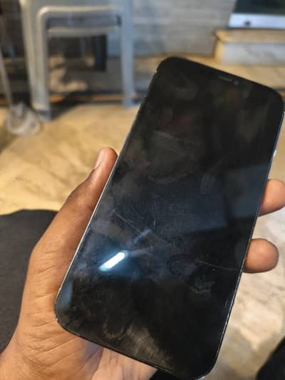 Apple iPhone 12 Pro Max