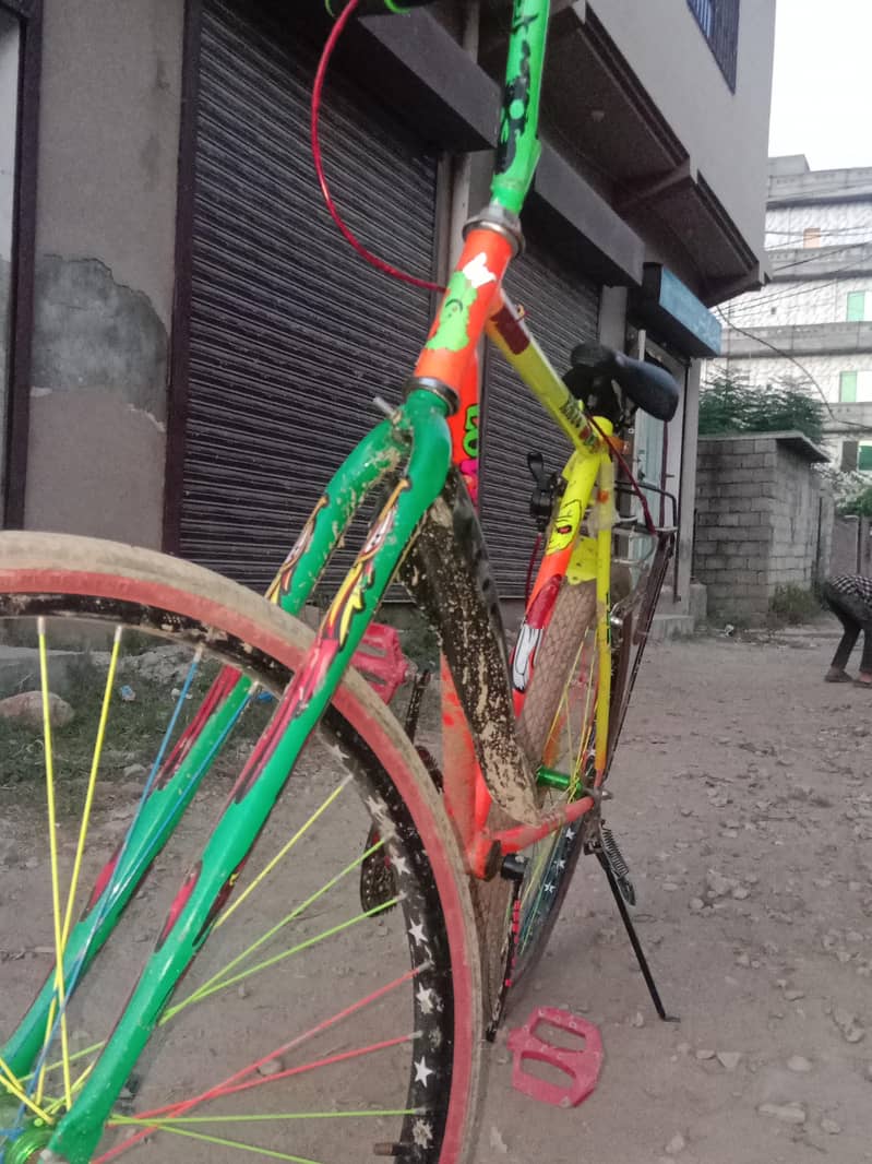 Phonix cycle 1