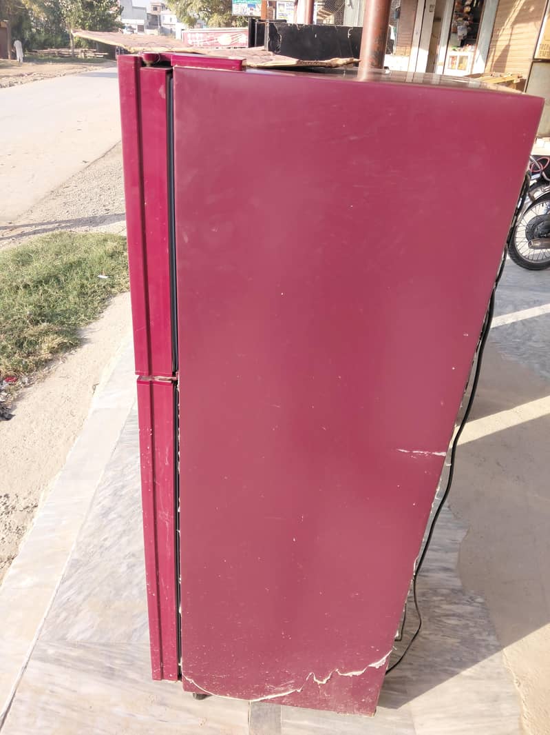 orient tefrigrtr 1