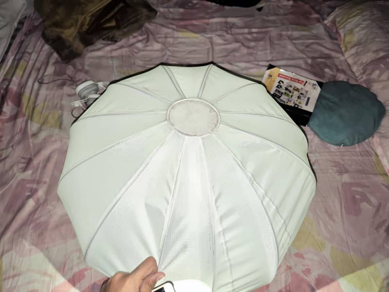 plokama Baloom only 1