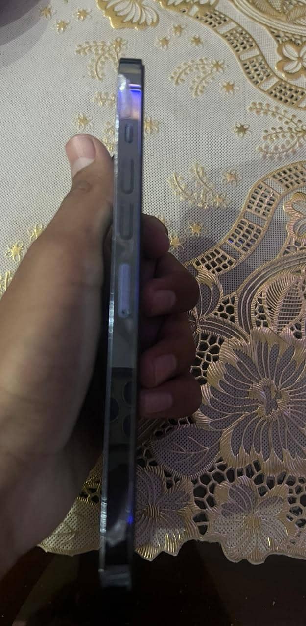 Apple iPhone 13 Pro Max 2