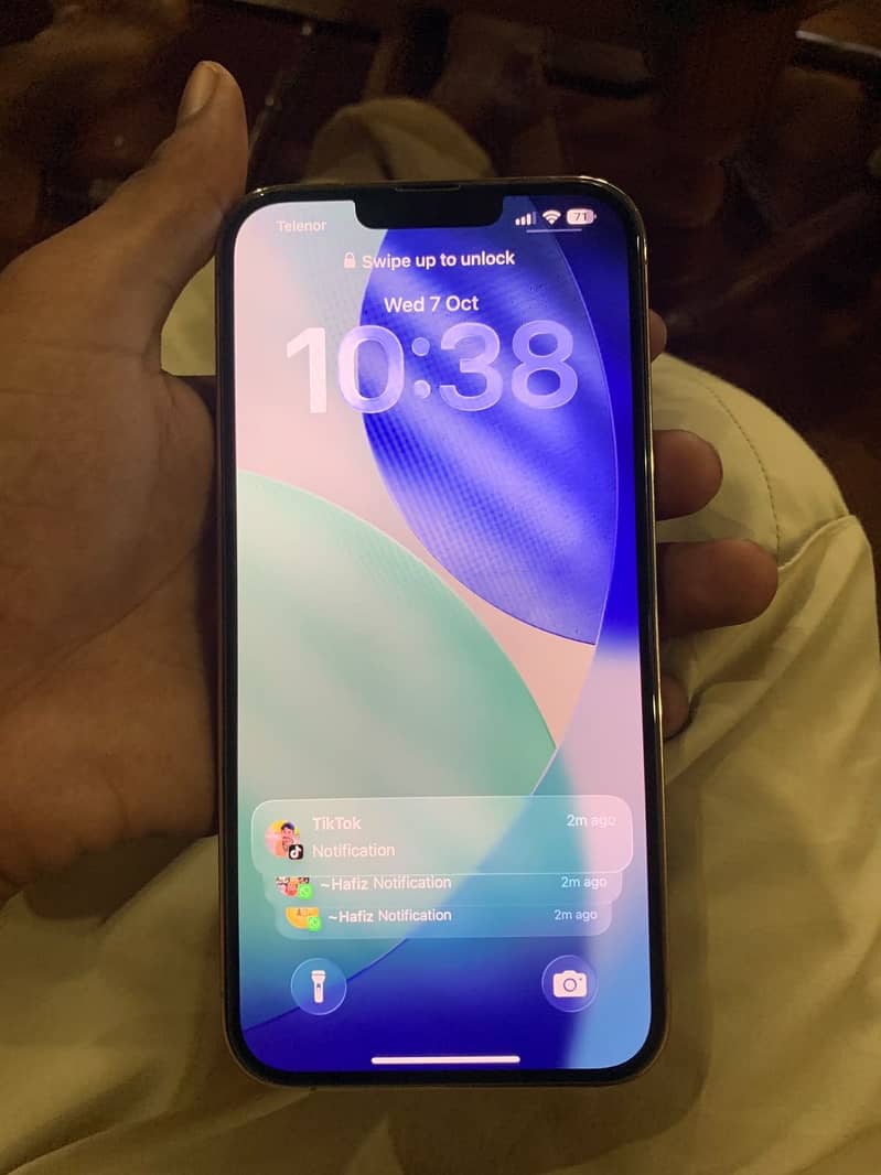 Apple iPhone 13 Pro Max 1