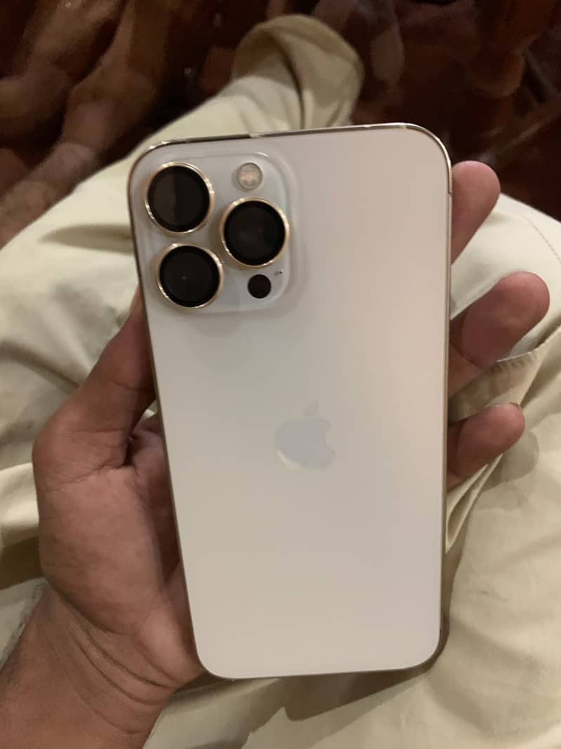 Apple iPhone 13 Pro Max 2