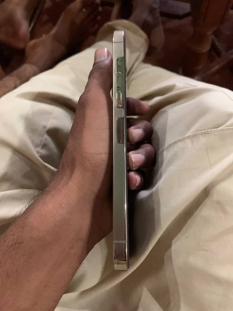 Apple iPhone 13 Pro Max 4