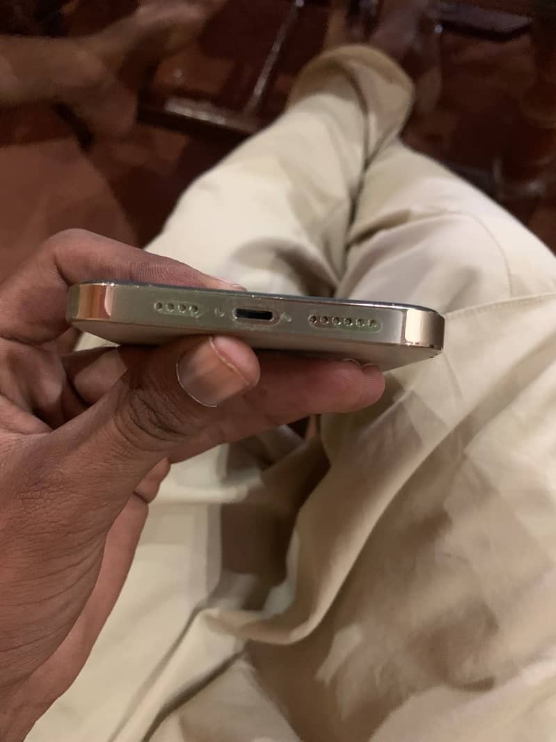 Apple iPhone 13 Pro Max 9
