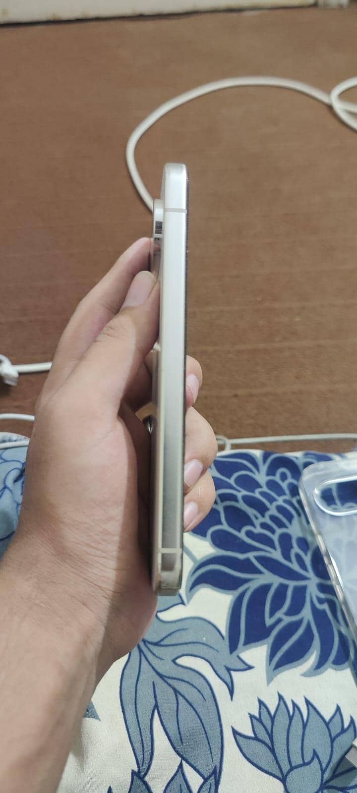 Google Pixel 9 Pro XL 1
