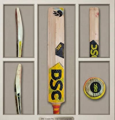 DSC BAT