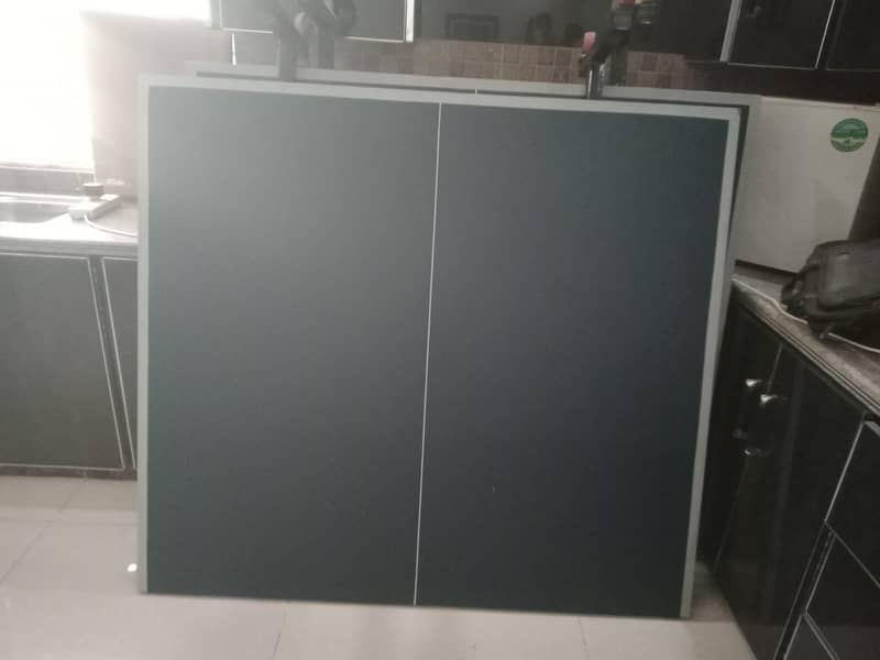 table tennis 2