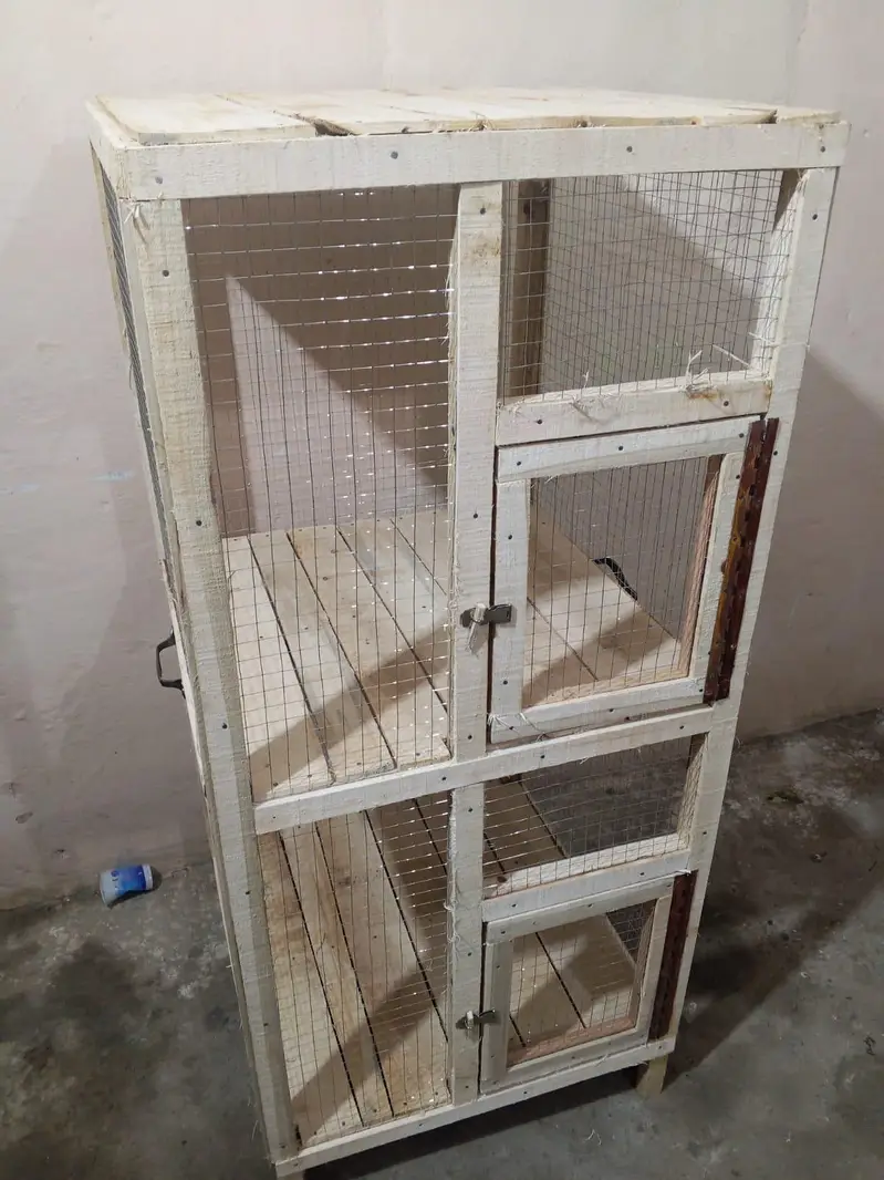 Wooden Cage (2 × 2) Double Portion — photo 2
