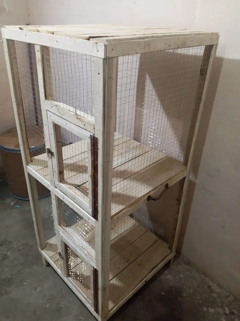 Wooden Cage (2 × 2) Double Portion — photo 3