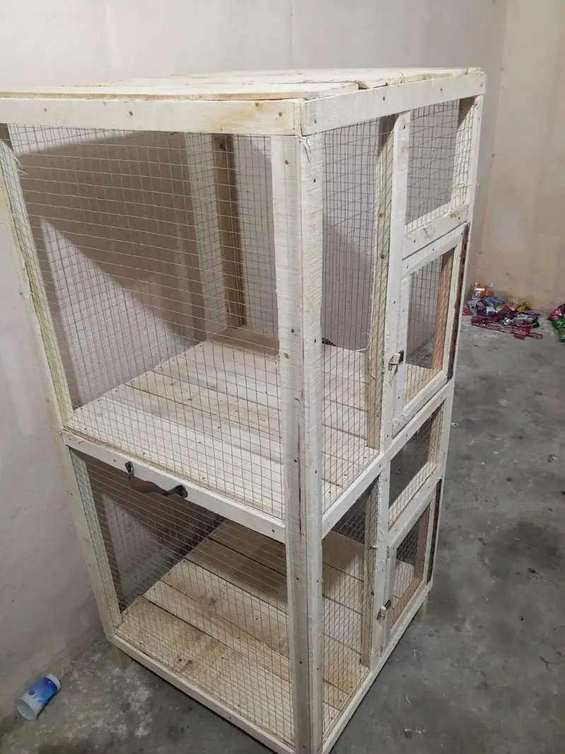 Wooden Cage (2 × 2) Double Portion — photo 4