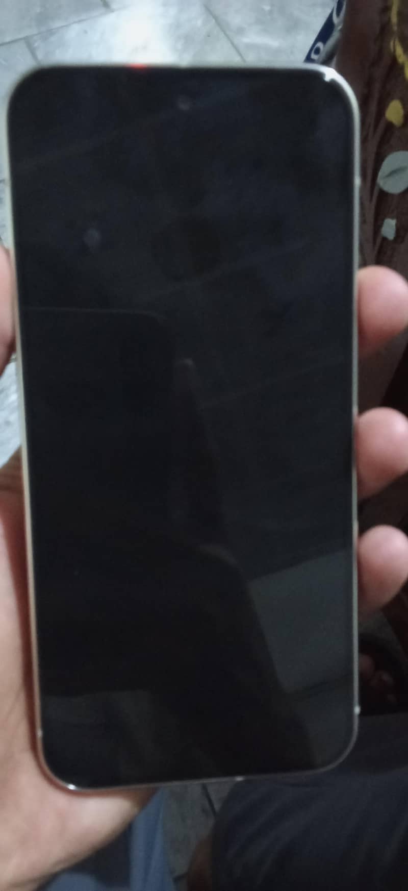 Google Pixel 9 Pro XL 1