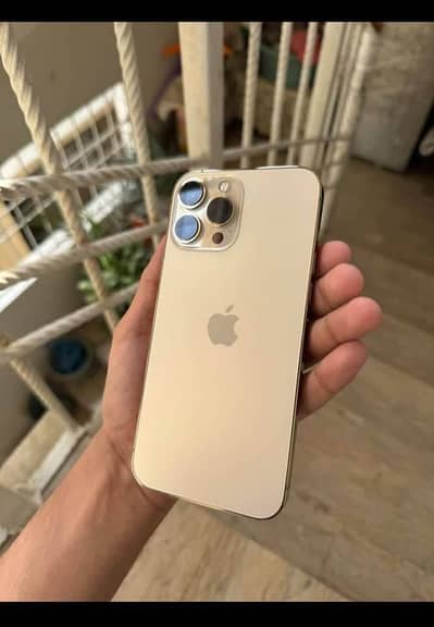 Apple iPhone 13 Pro Max