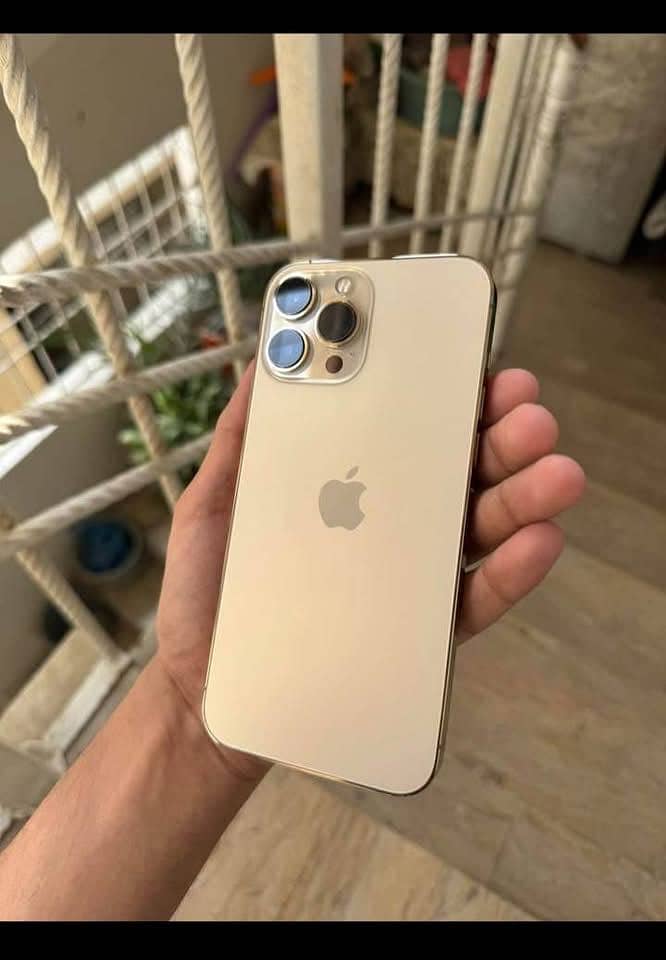Apple iPhone 13 Pro Max 0