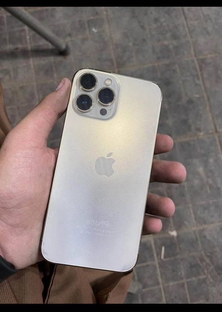 Apple iPhone 13 Pro Max 1