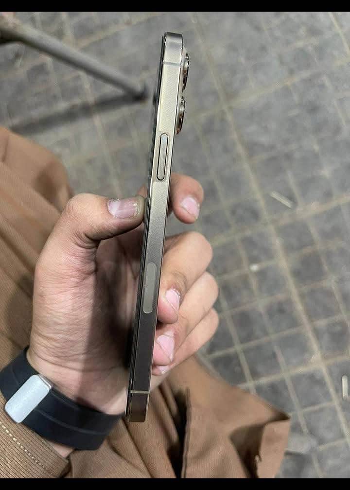 Apple iPhone 13 Pro Max 2