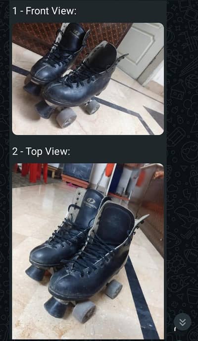 Dominion Premium Roller skates
