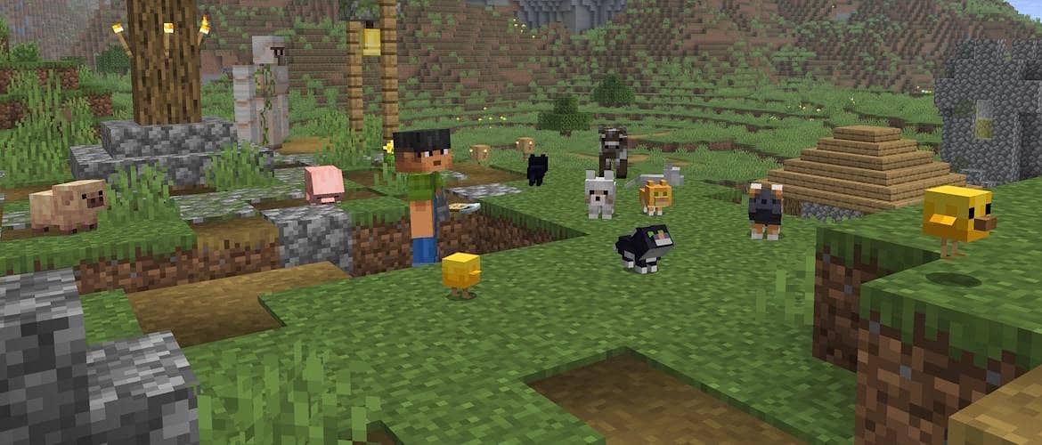 MINECRAFT for Android Mobile 2