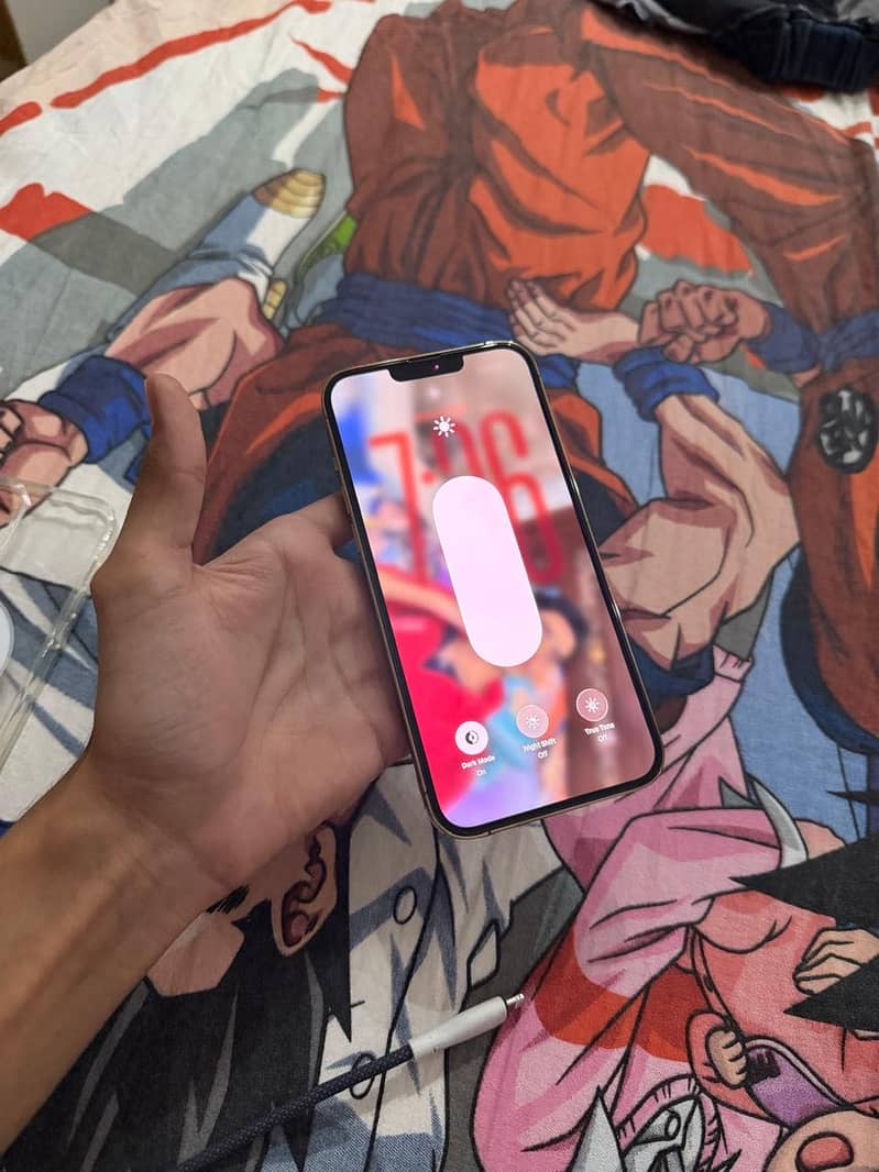 Apple iPhone 13 Pro Max 1