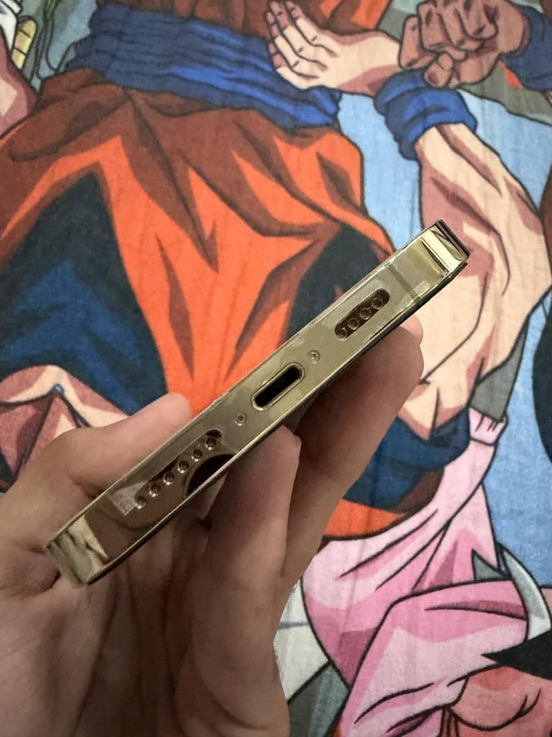 Apple iPhone 13 Pro Max 2