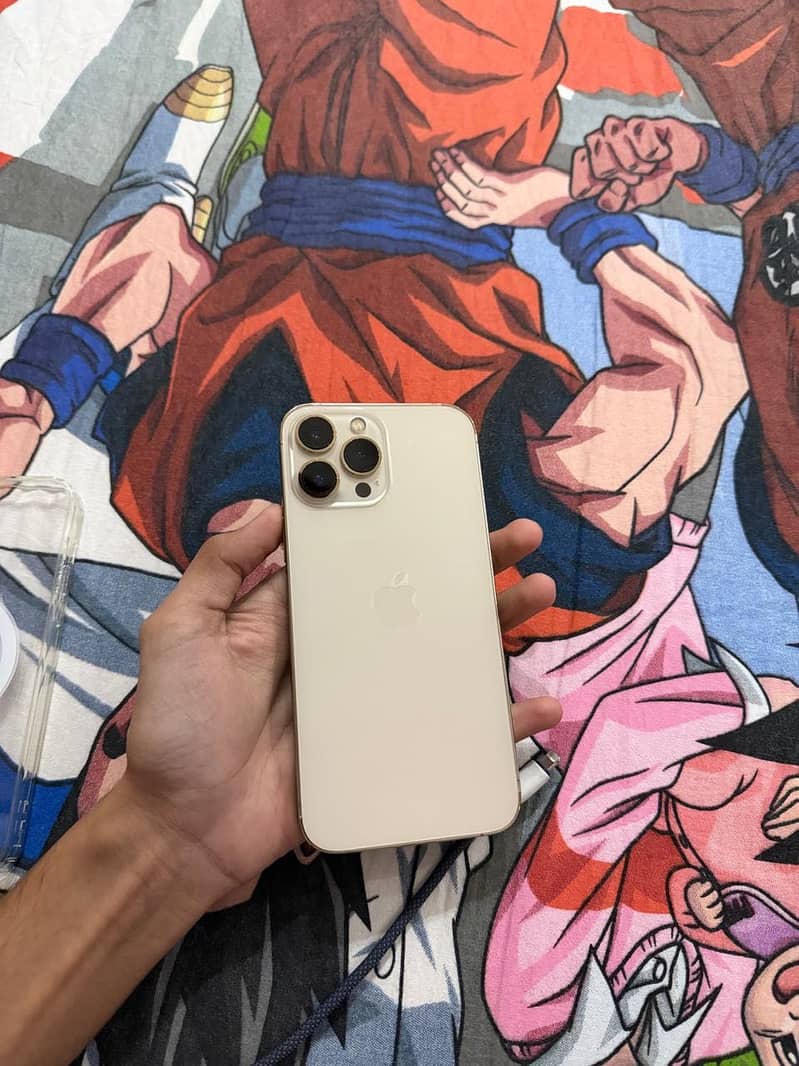 Apple iPhone 13 Pro Max 3