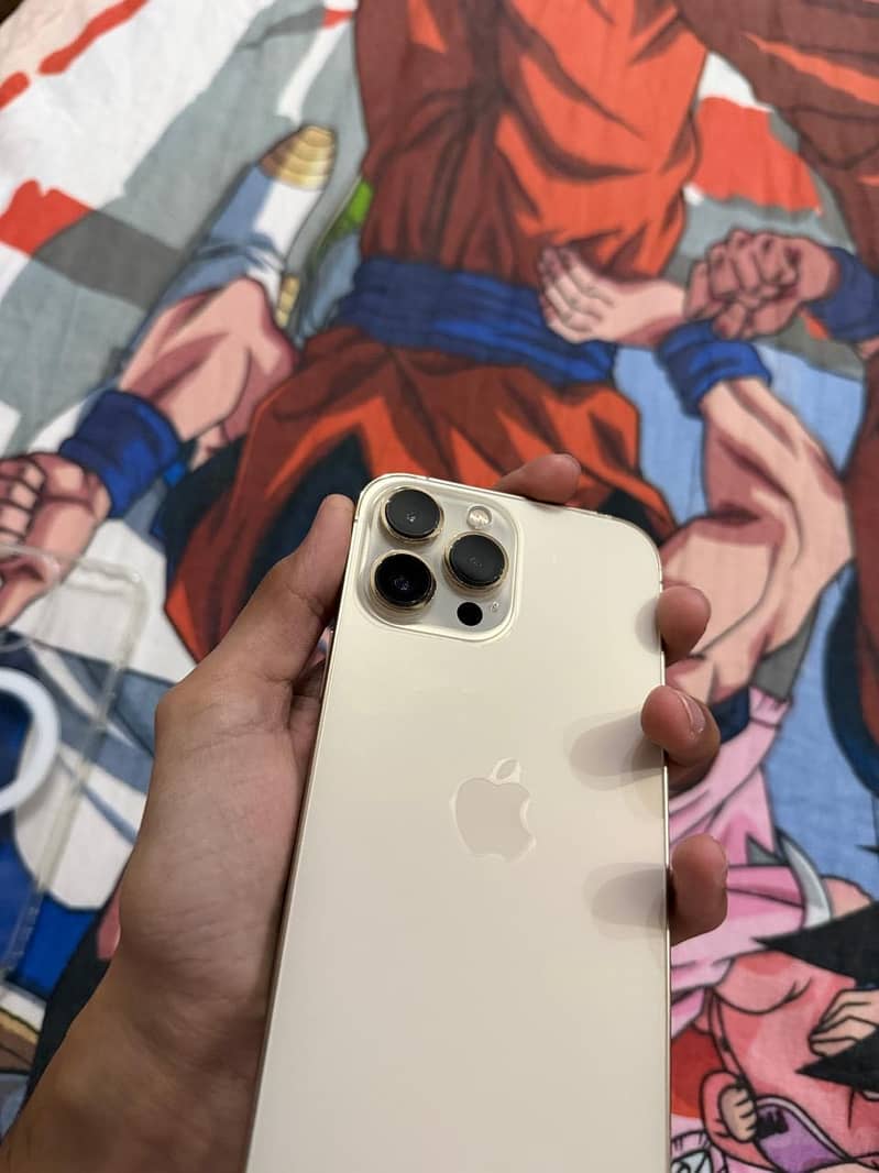 Apple iPhone 13 Pro Max 4