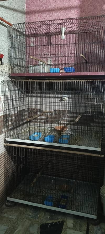 3 big cages parrot n birds