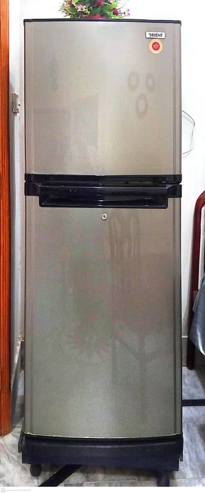 Orient Fridge Double Door