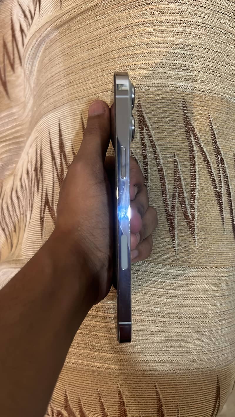 Apple iPhone 13 Pro Max 3