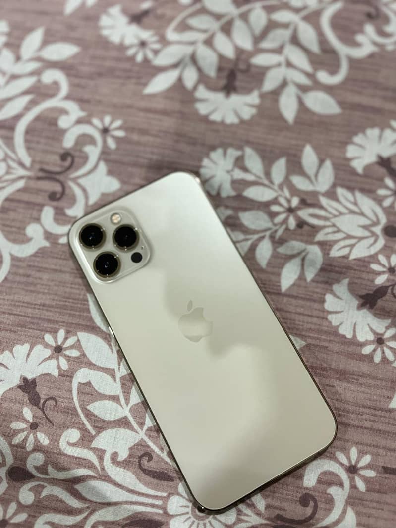 Apple iPhone 12 Pro Max 1