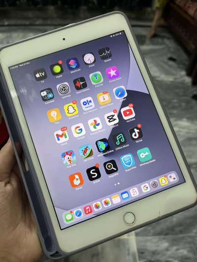Ipad Mini 4 128 GB