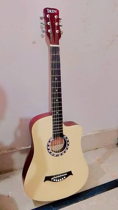 New guitar with Bag and piks