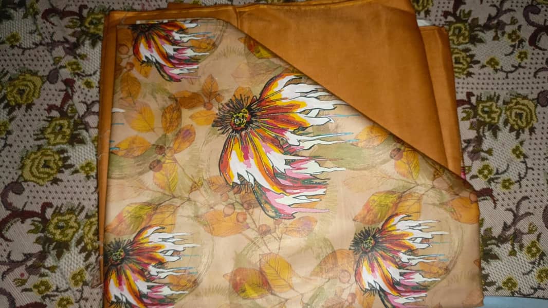 lilan 2 pic 5