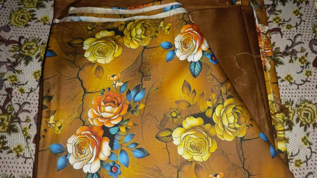 lilan 2 pic 9