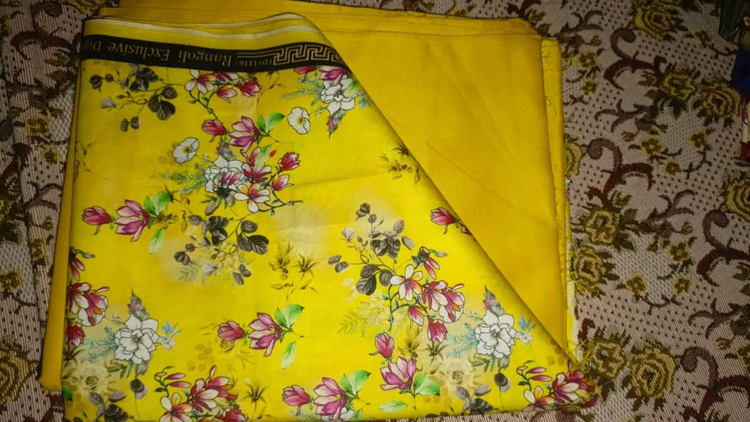 lilan 2 pic 12