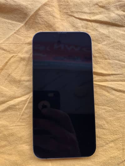 Apple iPhone 13 Pro Max