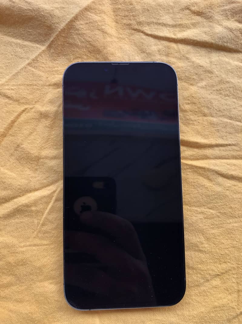 Apple iPhone 13 Pro Max 0