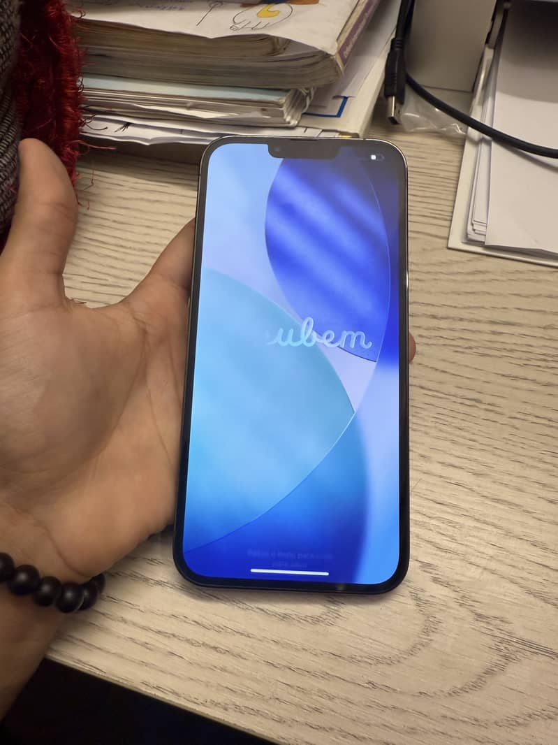 Apple iPhone 13 Pro Max 1